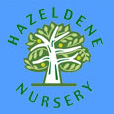 Hazeldene Nursery Bedford