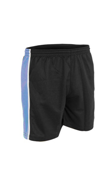 Falcon Panelled Sports Short
